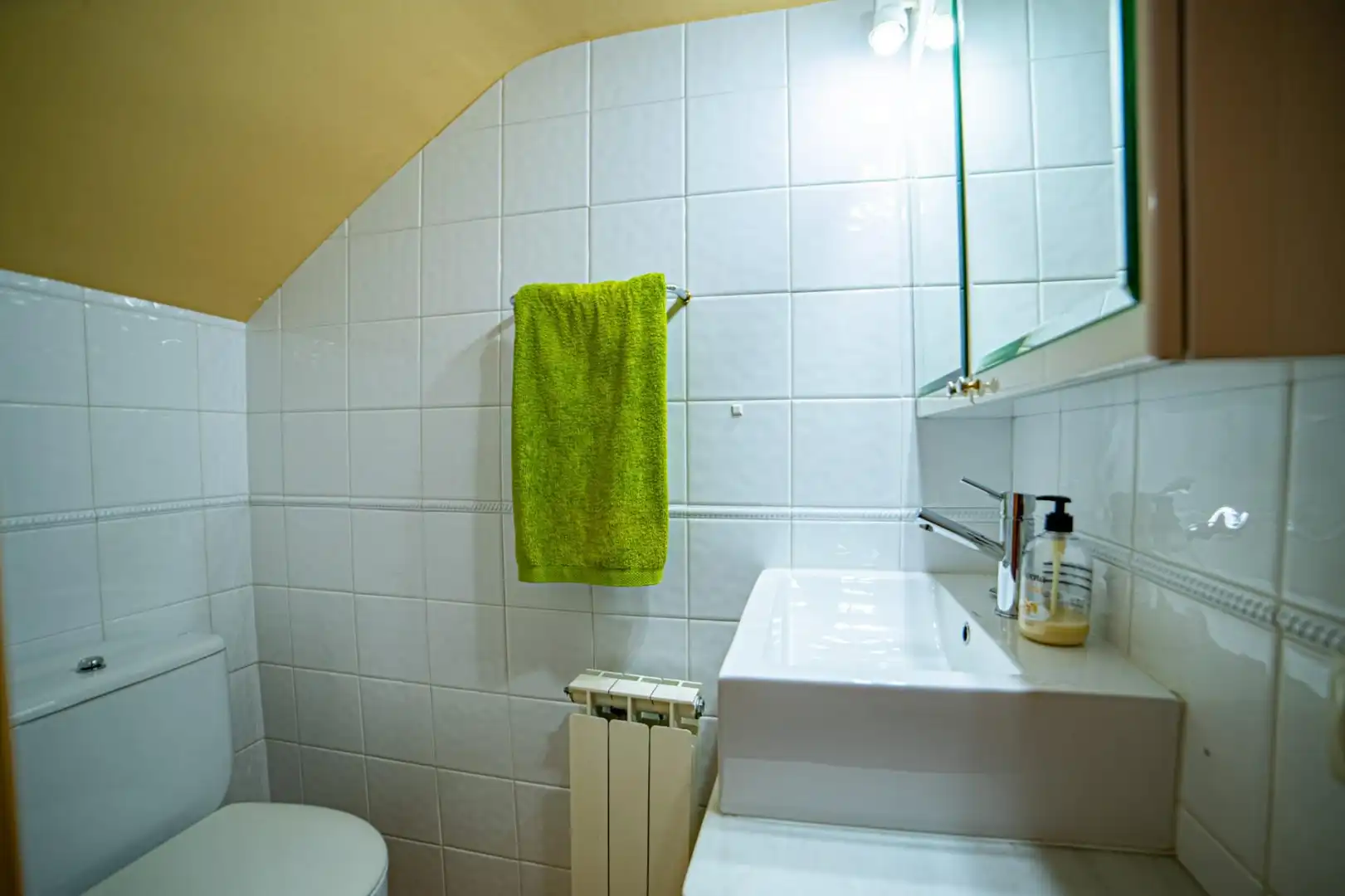 Baño de Casa adosada en venta en Girona con Terraza y Alarma