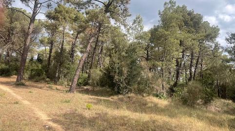 Foto 4 de Terreno en venta en Càmping Caravaning Internacional Costa Brava, 184, Mas Mora - Sant Daniel, Barcelona