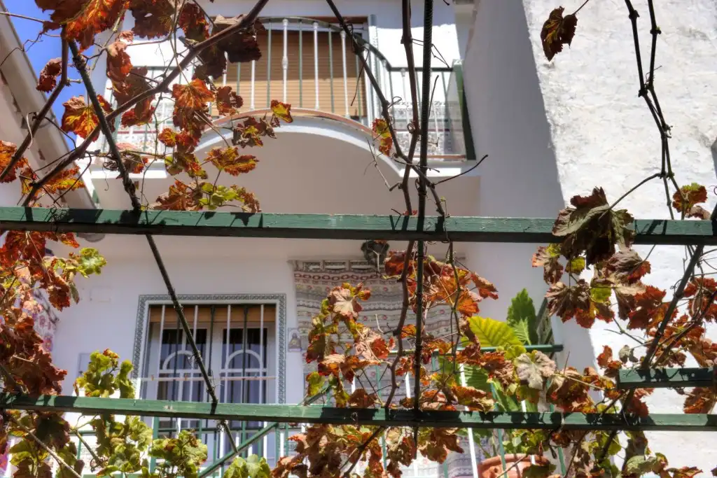 Jardí de Casa adosada en venda en Casarabonela amb Aire condicionat, Jardí privat i Terrassa