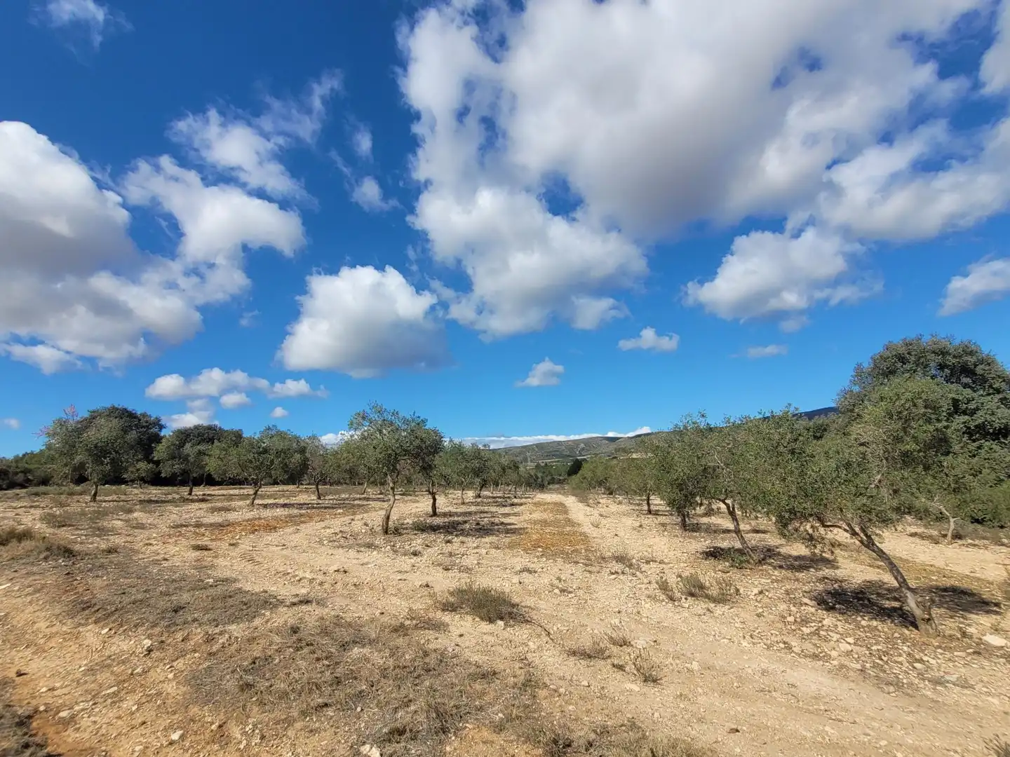 Land for sale in Ontinyent