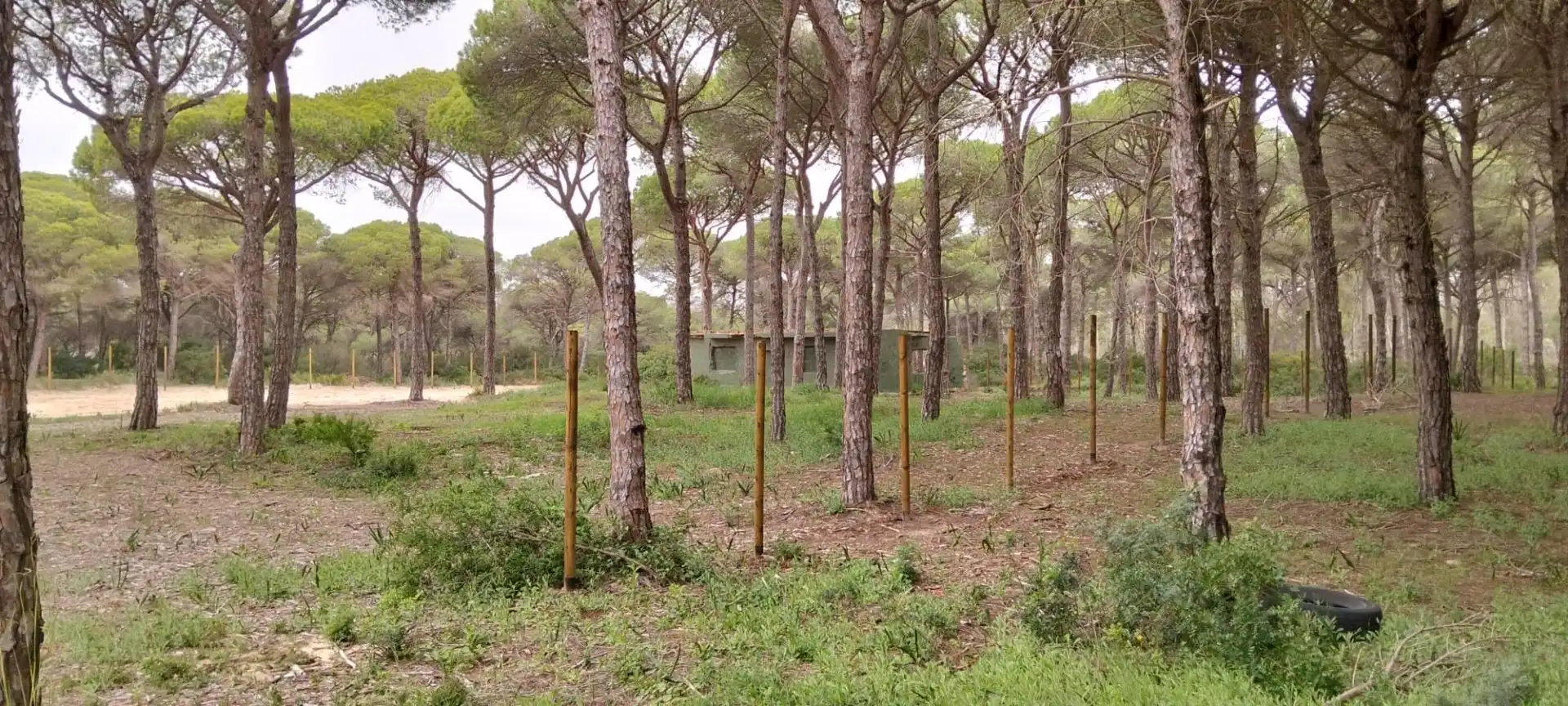 Casa en venda a Las Lagunas - Campano, imagen 2