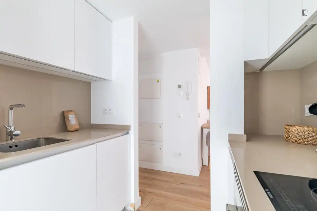 Cocina de Estudio de alquiler en Madrid con Aire acondicionado, Amueblado y Horno