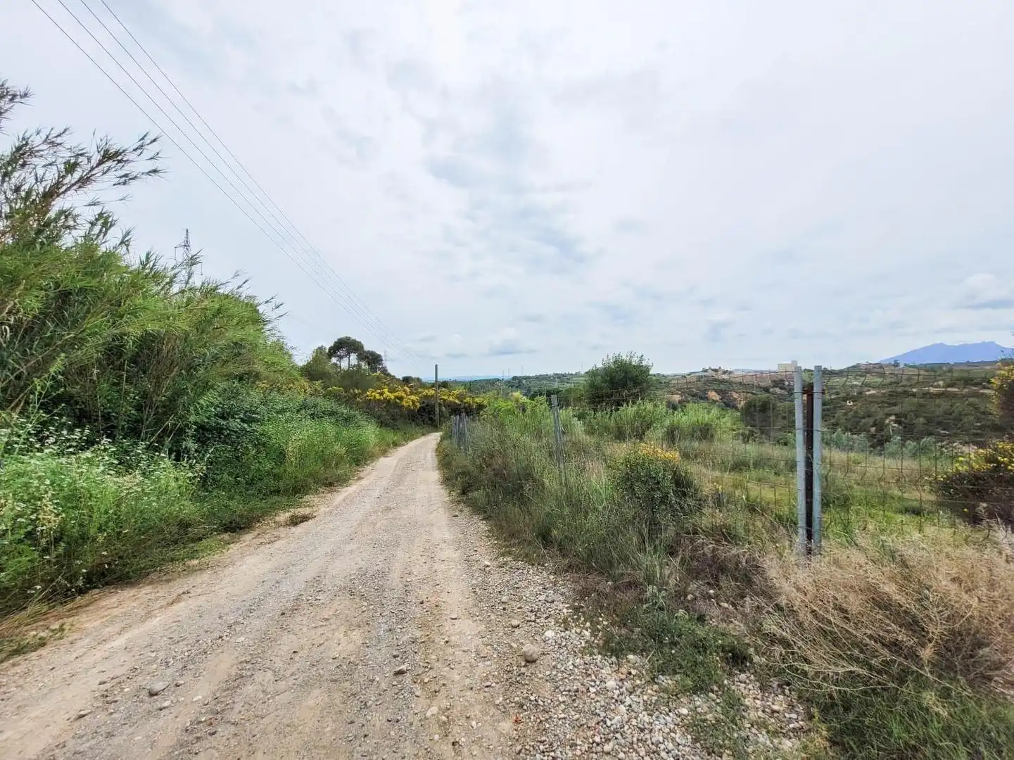 Terreno rústico en venta en Castellbisbal, imagen 13