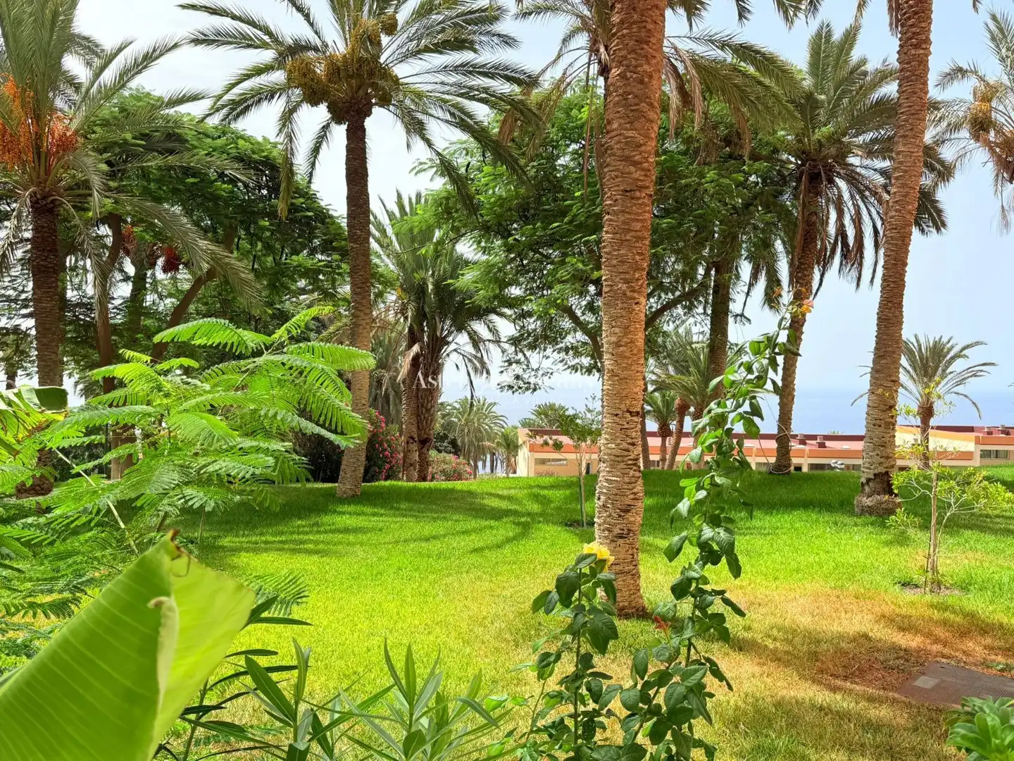 Jardí de Àtic en venda en Adeje amb Aire condicionat, Terrassa i Piscina