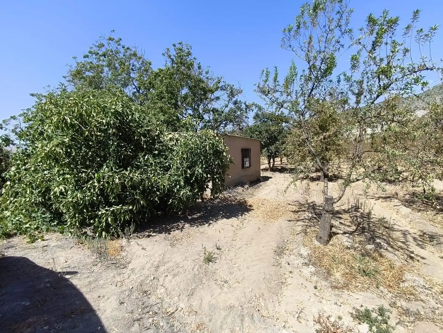 Rural land for sale in 2C55+9GC Cozvijar 0