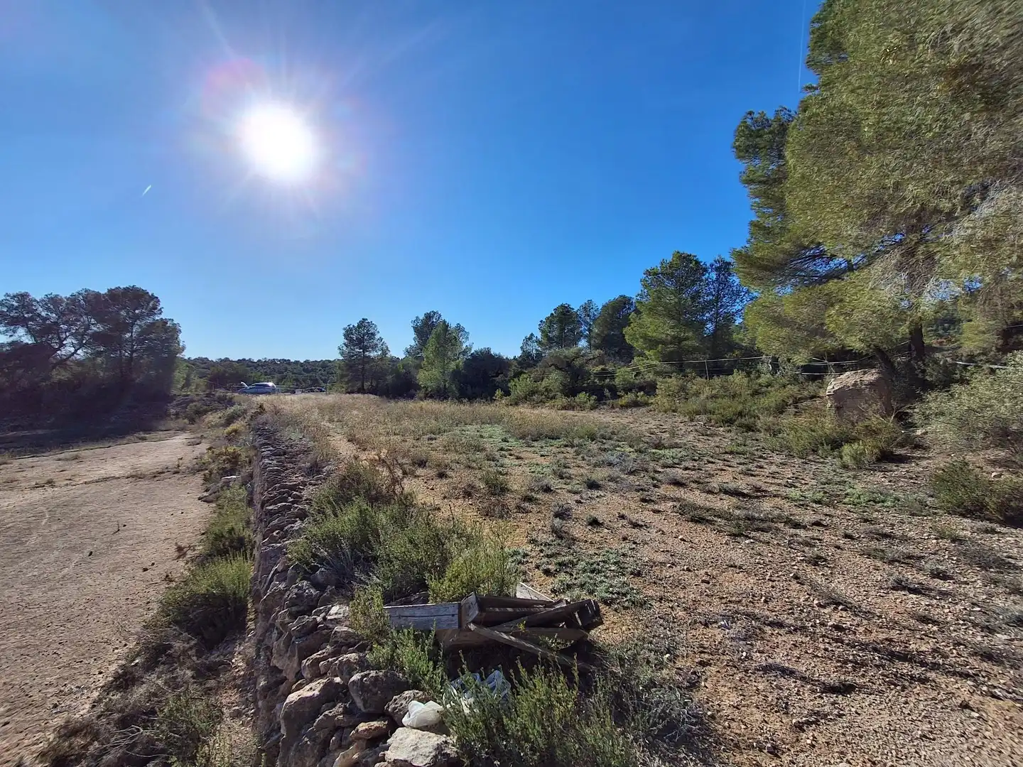 Finca rústica en venda en Móra d'Ebre