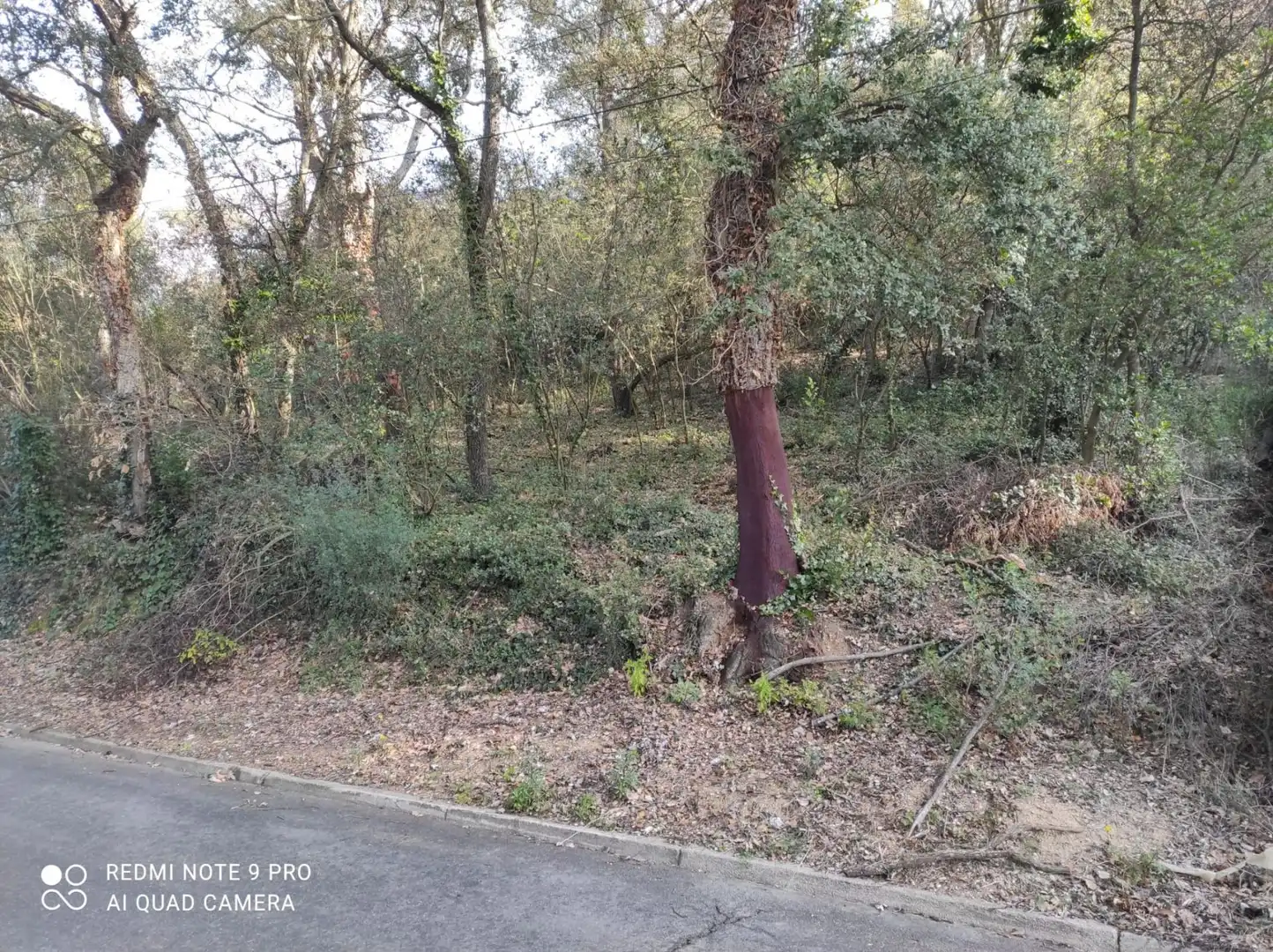 Terrenos y solares en venta en Vallgorguina, imagen 8