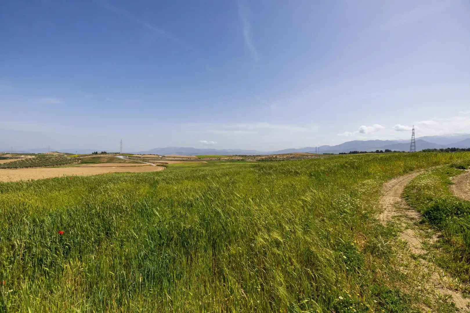 Lands and plots for sale in Otura 6, imagen 14