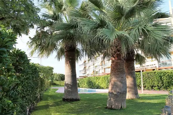 Garten von Dachboden zur Miete in Cambrils mit Klimaanlage, Terrasse und Möbliert