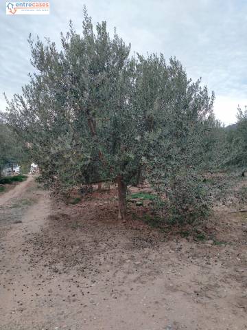 Terreno en Venta en Petrés