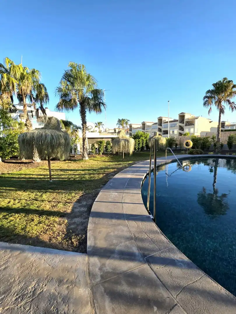 Schwimmbecken von Wohnungen zur Miete in Torrevieja mit Klimaanlage, Terrasse und Abstellraum