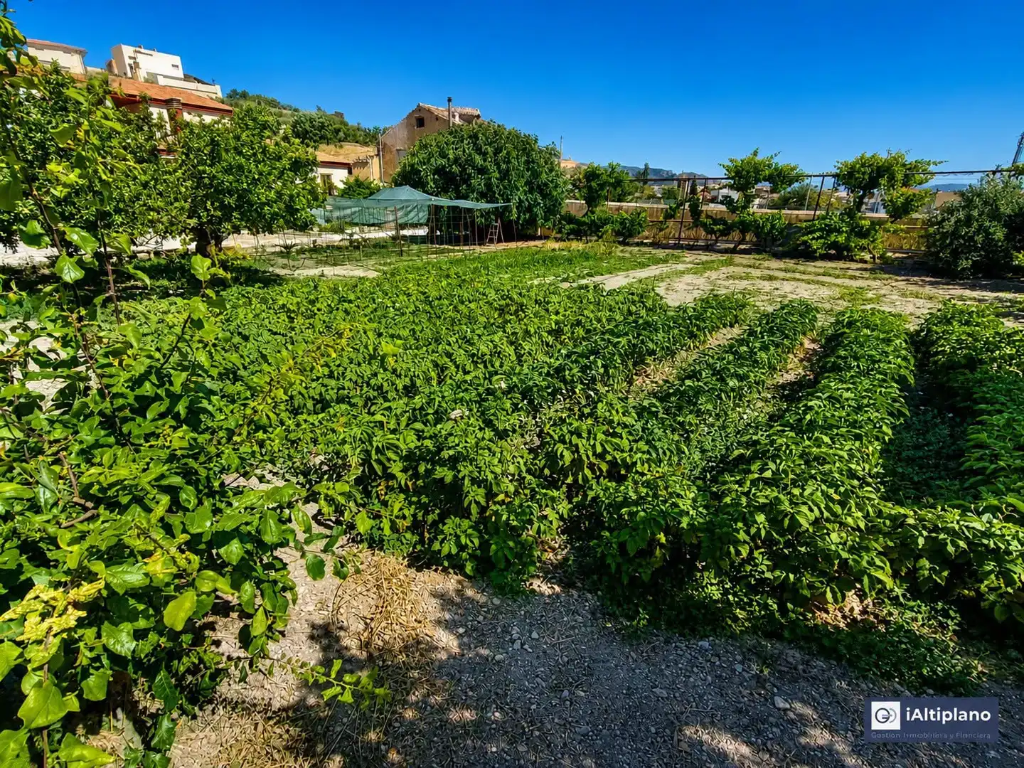 Houses for sale in Baza  with Heating, Private garden and Terrace