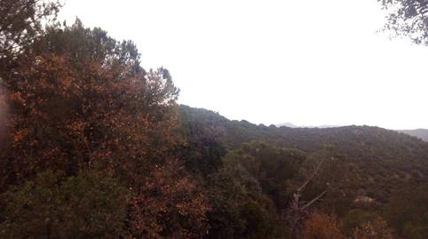 Foto 3 de Casa o chalet de alquiler en Santa Maria de Trassierra, Córdoba