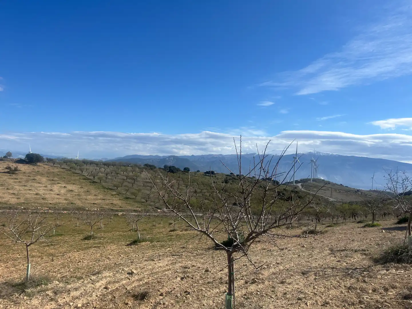 Rustikales Grundstück zum Verkauf in Camino de la Sierra, imagen 8