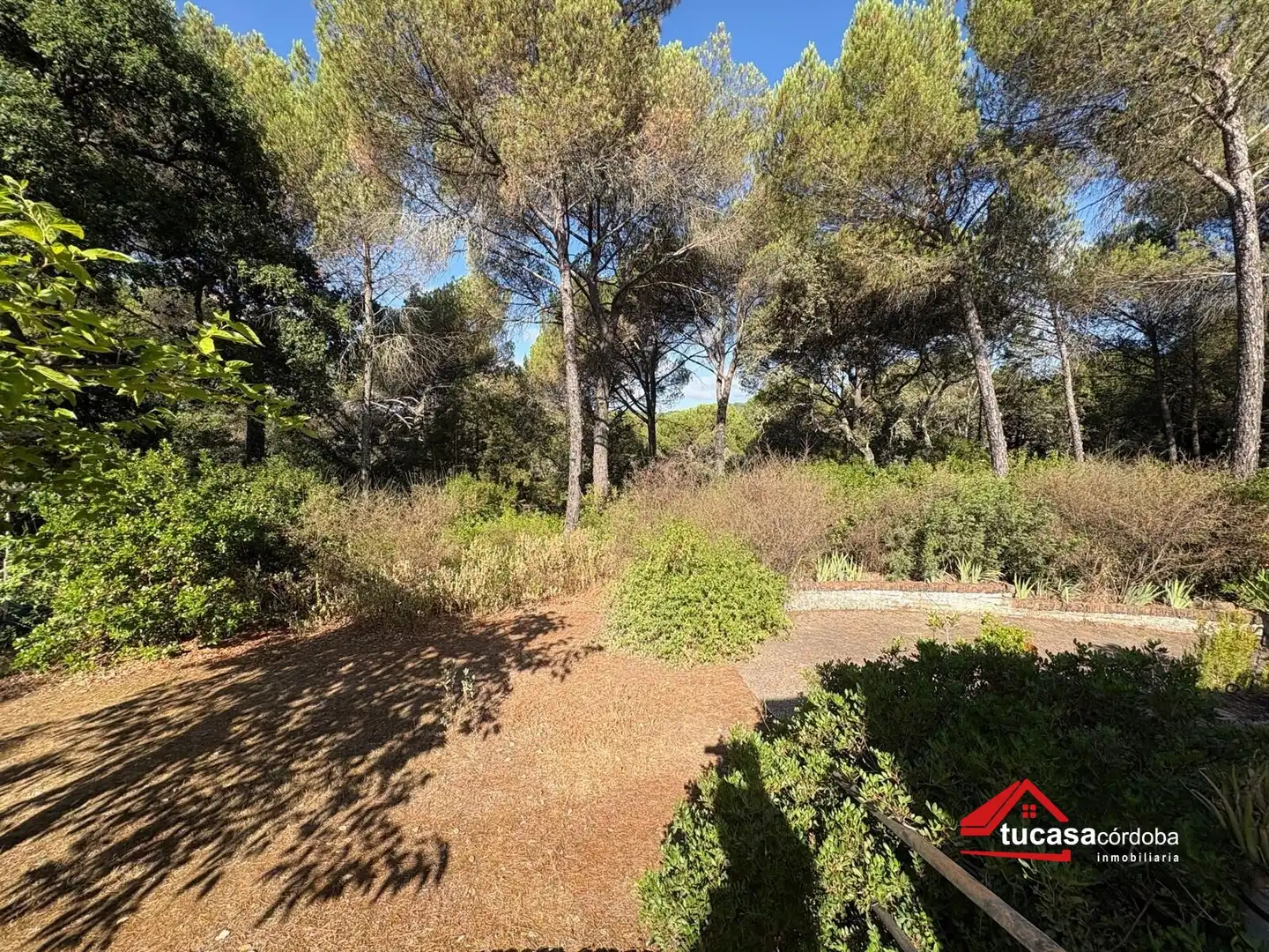 Casa rustica con piscina in vendita a Periurbano Oeste - Sierra, imagen 31