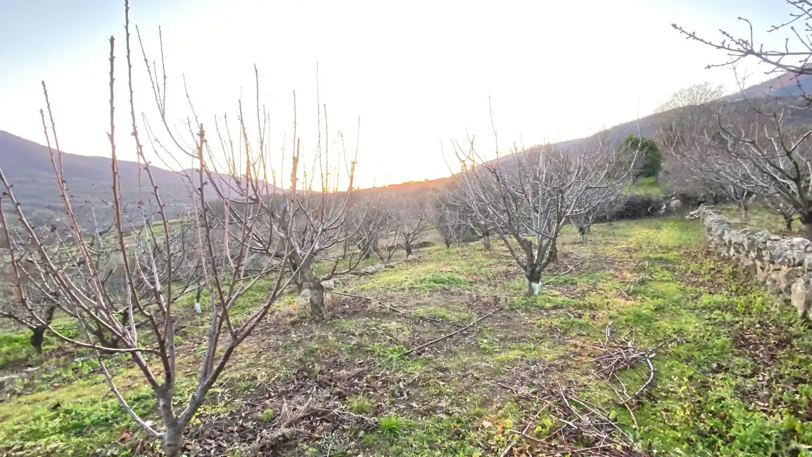 Terreni e lotti in vendita a El Torno, imagen 15