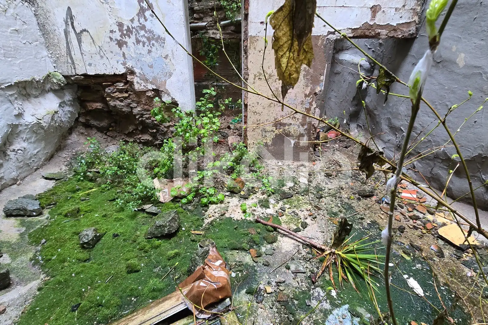 Jardín de Casa o chalet en venta en Monistrol de Montserrat