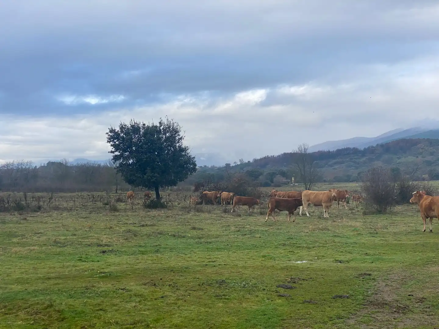 Terreni e lotti in vendita a Candeleda, imagen 4