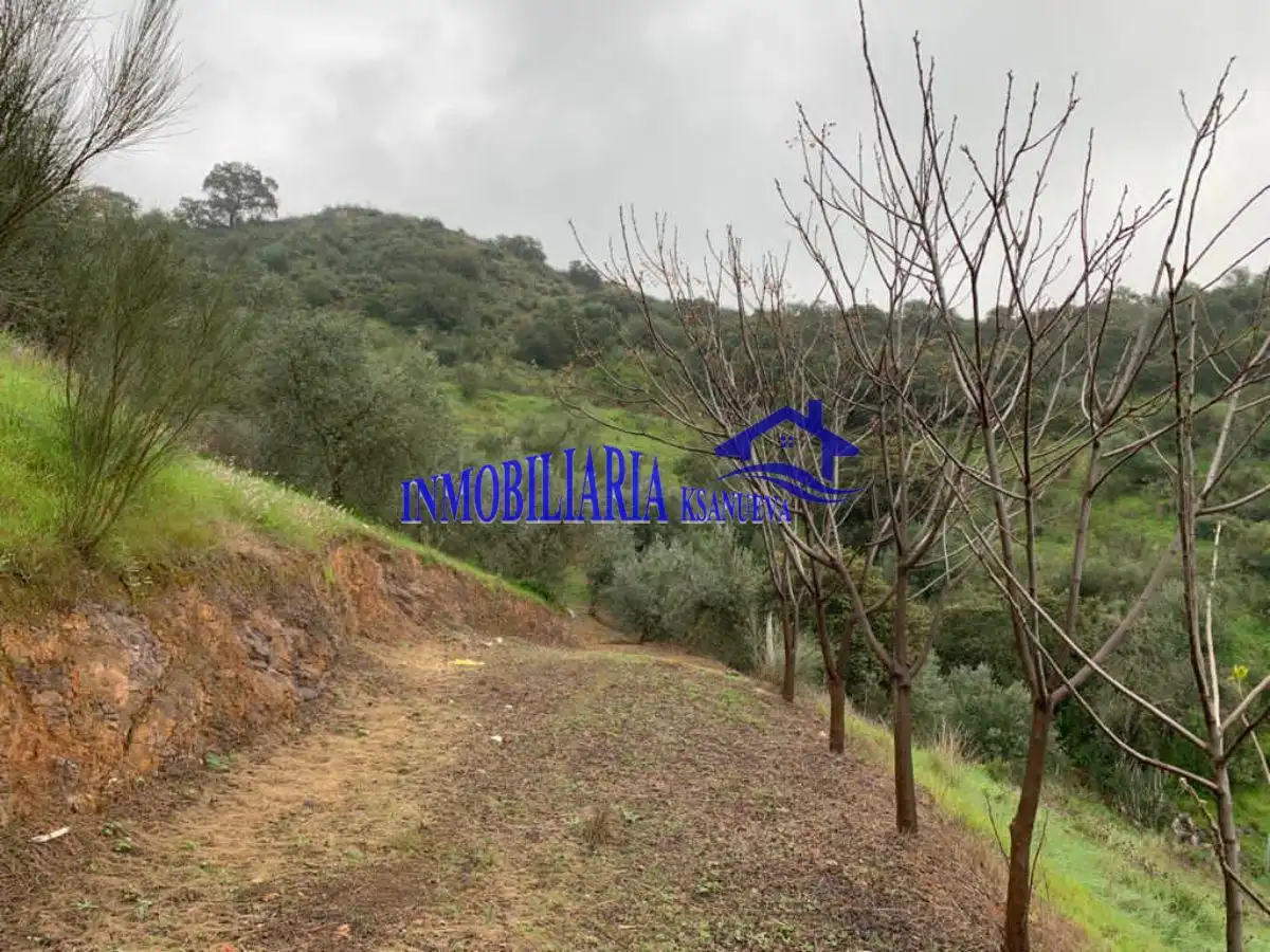Casa rústica en venda a Periurbano Este - Campiña, imagen 17