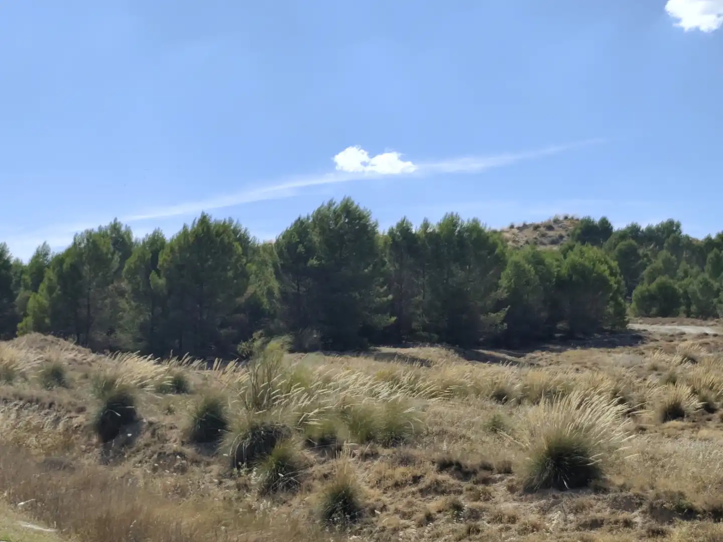 Casa o xalet en venda en Illana amb Jardí privat, Terrassa i Piscina