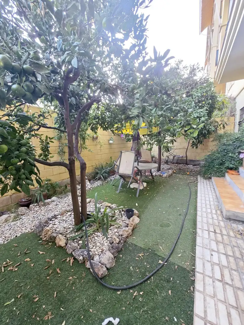 Piso con piscina en venta en Torre del Mar, imagen 8