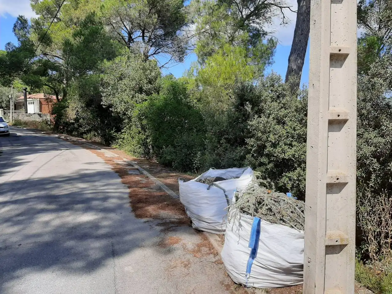 Terreny rústic en venda a Calle Cova del  Drac, imagen 2