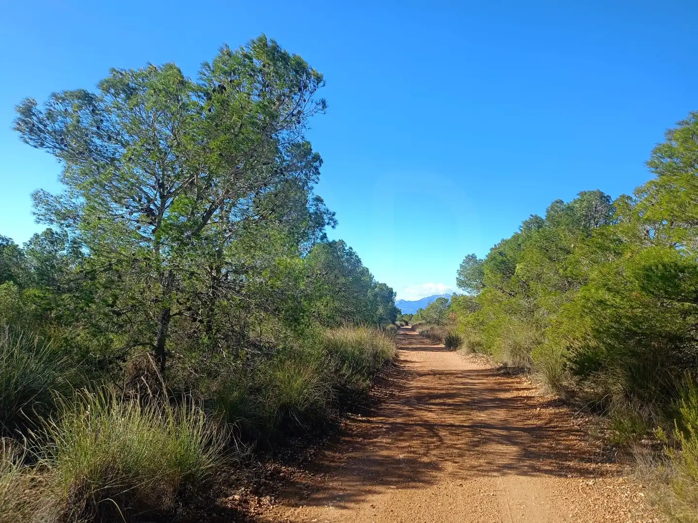 Außenansicht von Grundstücke zum Verkauf in Lorca