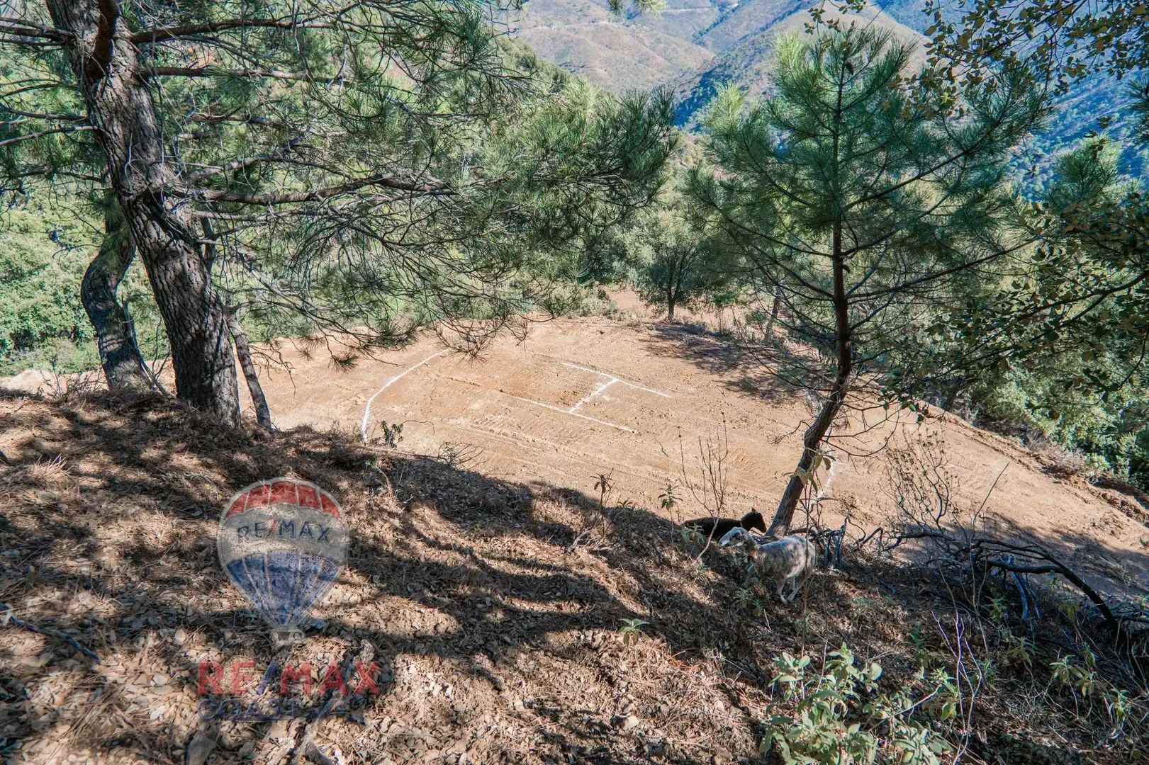 Finca rústica en venta en Jubrique con Jardín privado, Terraza y Piscina