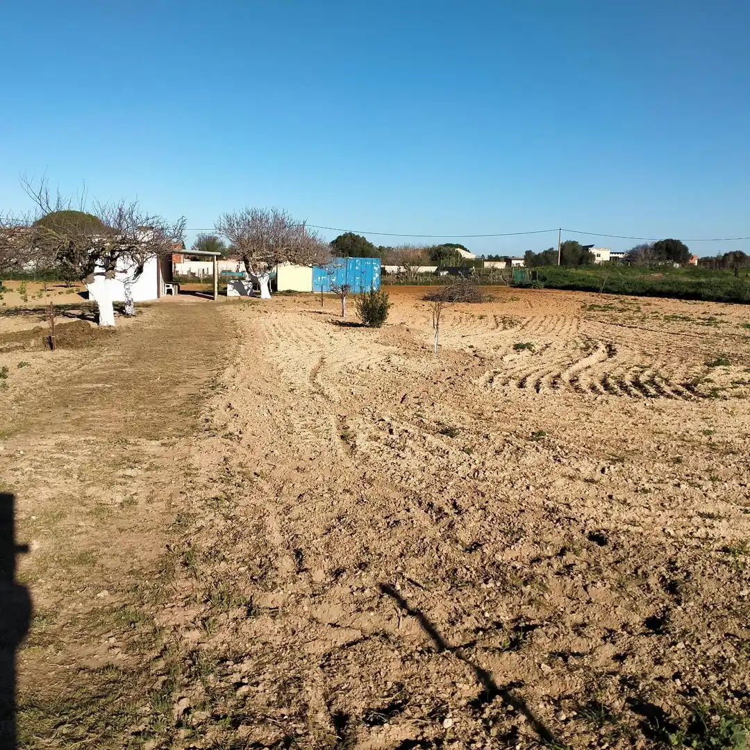 Lands and plots for sale in Los Franceses – La Vega, imagen 5