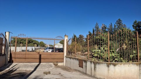 PARCELA RÚSTICA PARAJE TORREGUIL, imatge 4