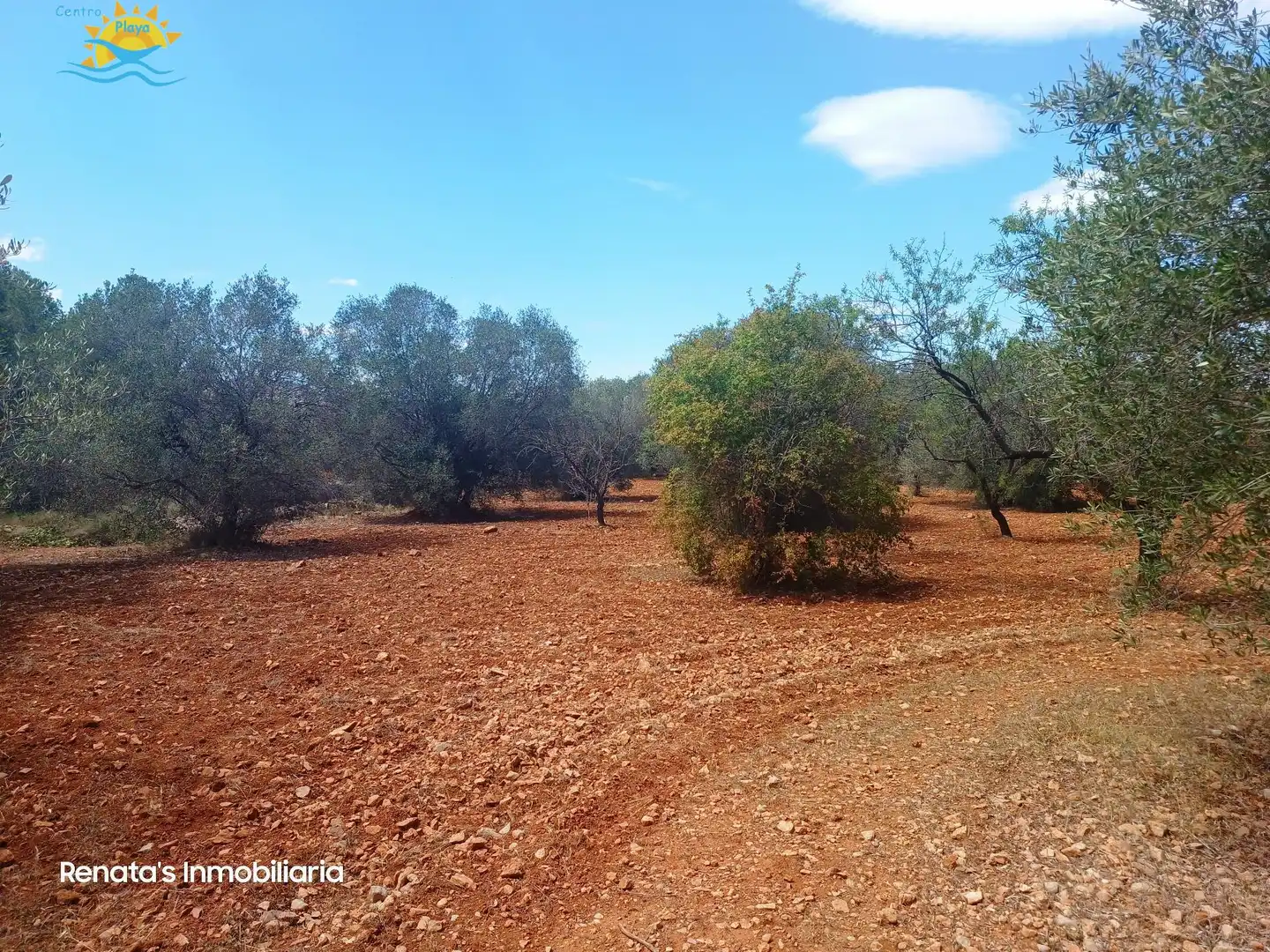 Finca rústica en venta en PEÑISCOLA, Las Atalayas - Urmi - Cerro de Mar