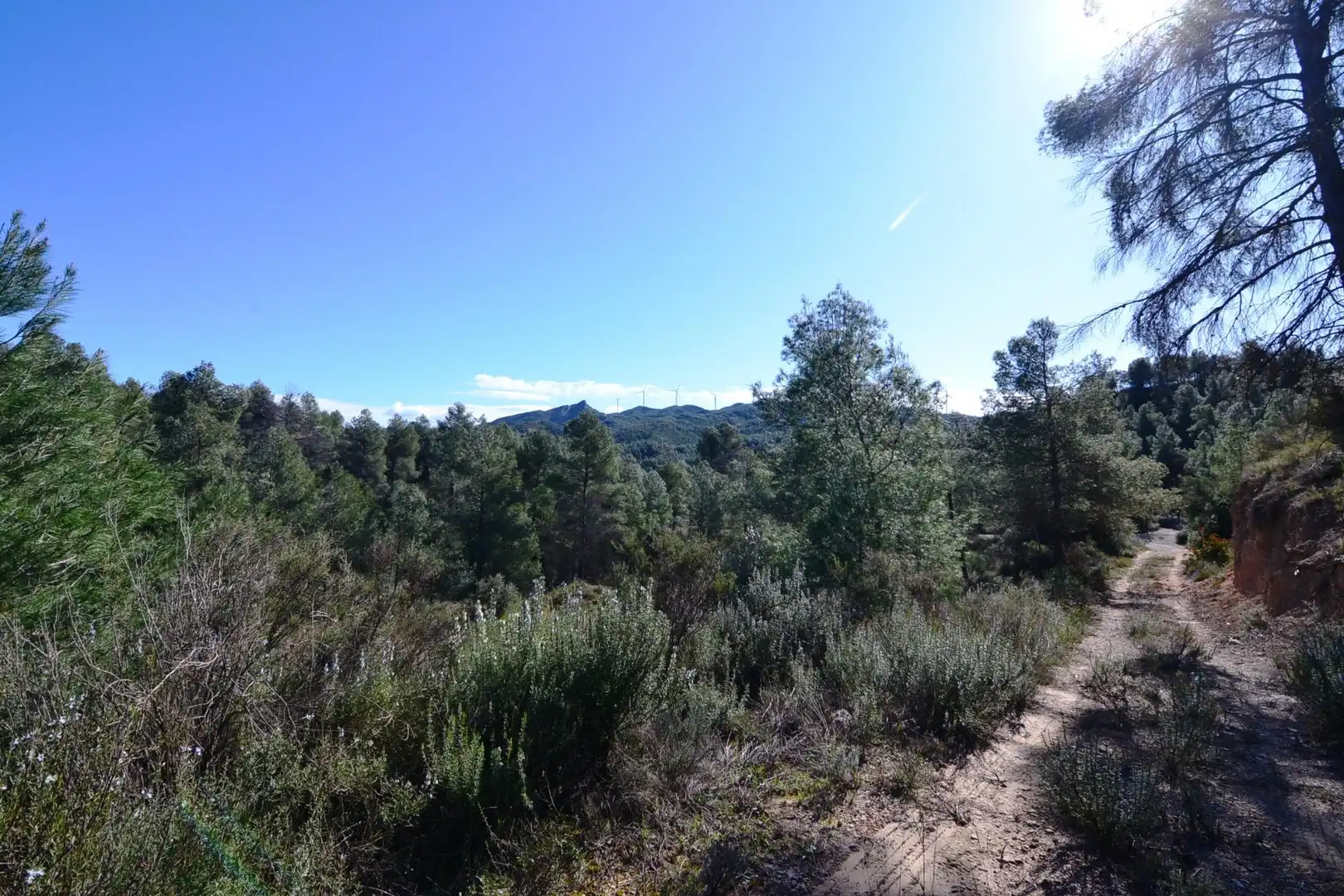Rural land for sale in Ascó, imagen 42