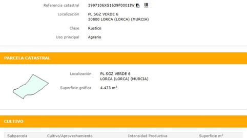 Photo 5 of Industrial land for sale in Guillén de Pina, La Viña, Murcia