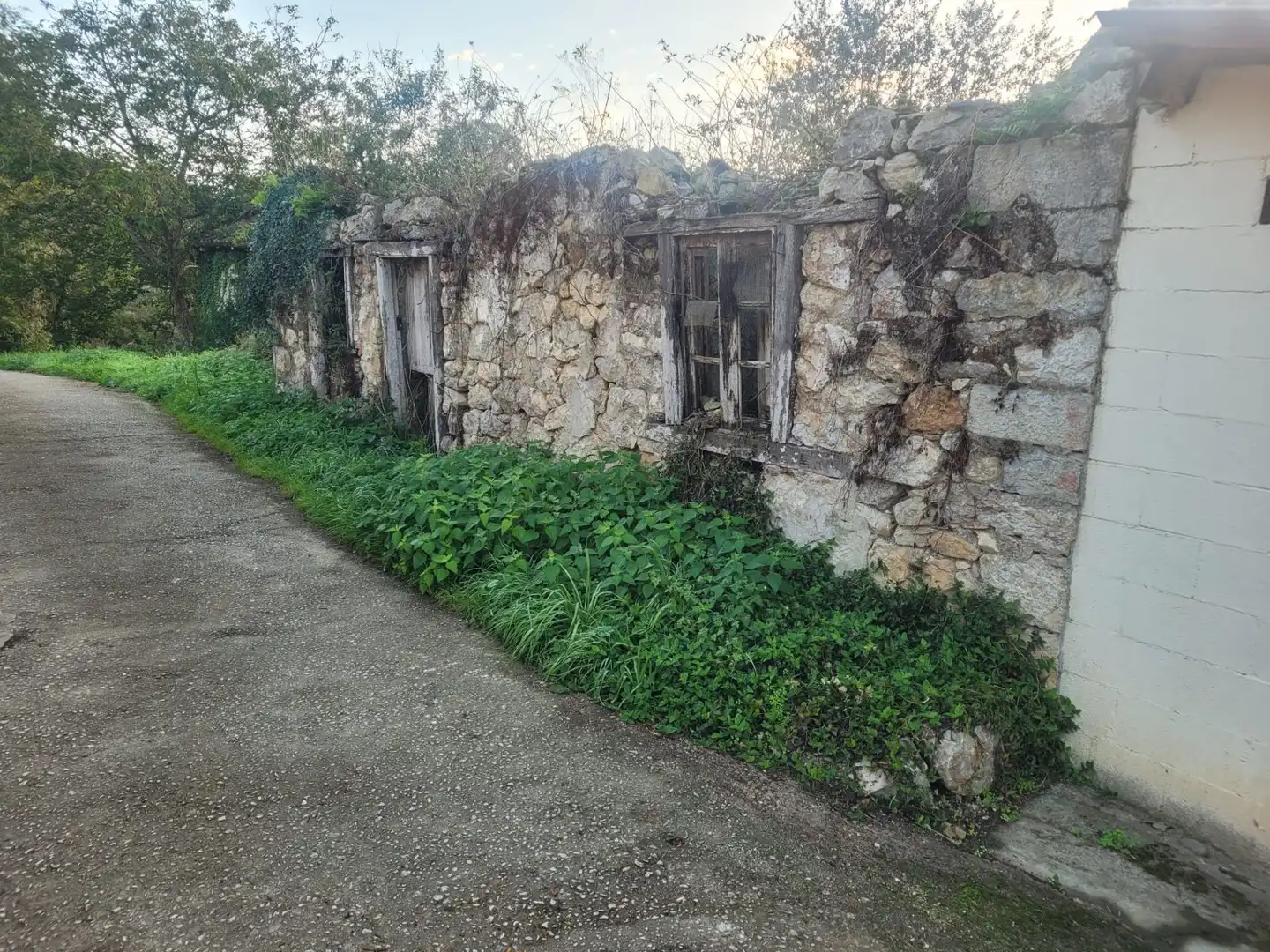 Vista exterior de Casa o chalet en venta en Ribadedeva