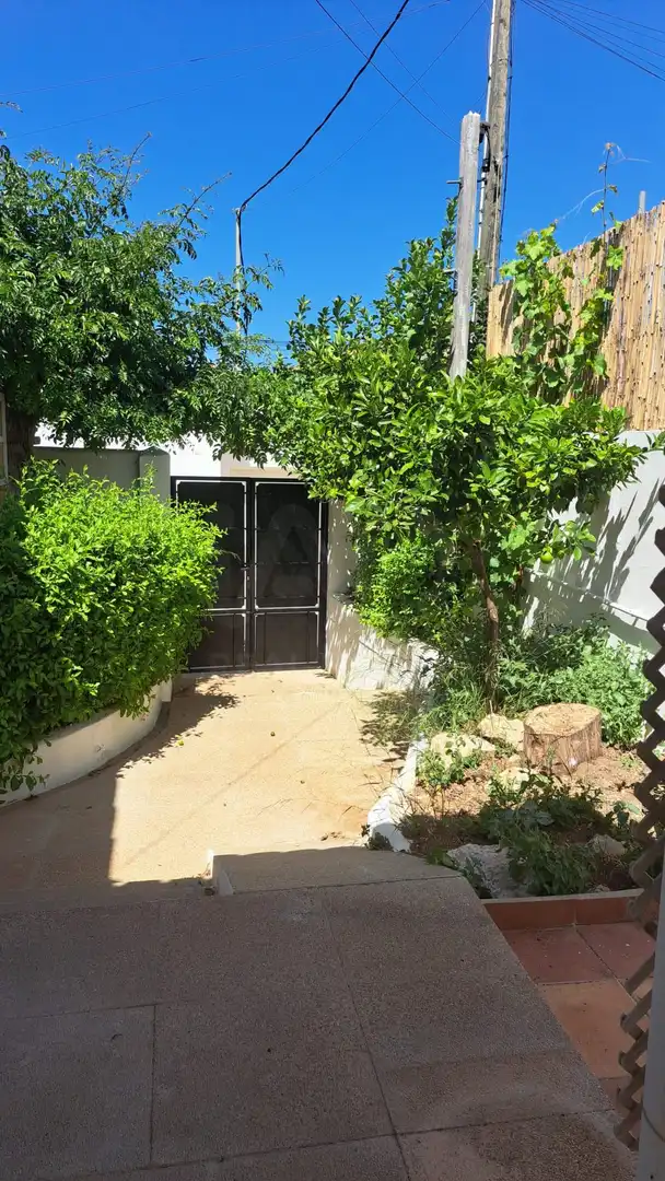 Jardí de Casa o xalet en venda en Calvià amb Aire condicionat, Calefacció i Terrassa
