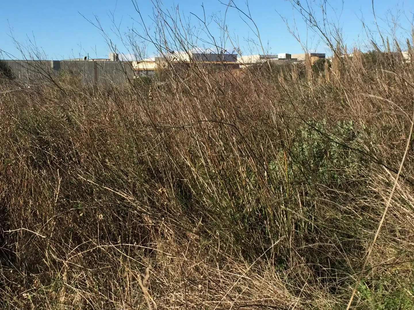 Terreny rústic en venda a Carrer de l'Energia 70