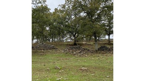 Terreno en venta en Madroñera, immagine 5