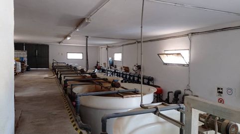 FINCA RUSTICA 18HA