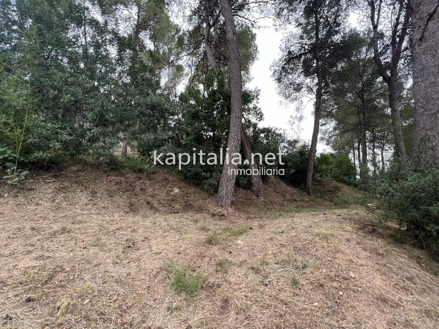 Terreni e lotti in vendita a Agullent, imagen 4
