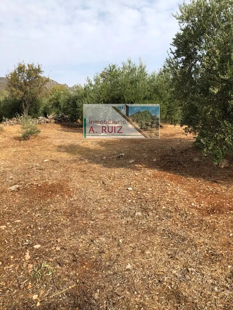 Terreny rústic en venda a Priego de Córdoba