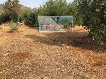 Terreno rustico in vendita a Priego de Córdoba