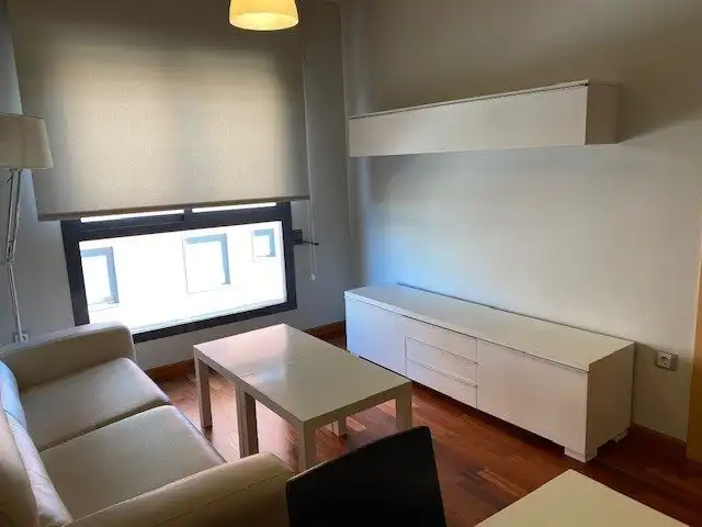 Apartments for rent in El Ranero