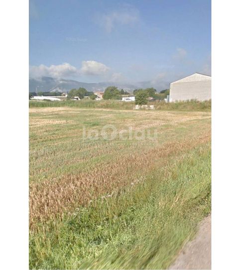 Foto 2 de Terreno industrial en venta en Camino Tona, Balenyà, Barcelona