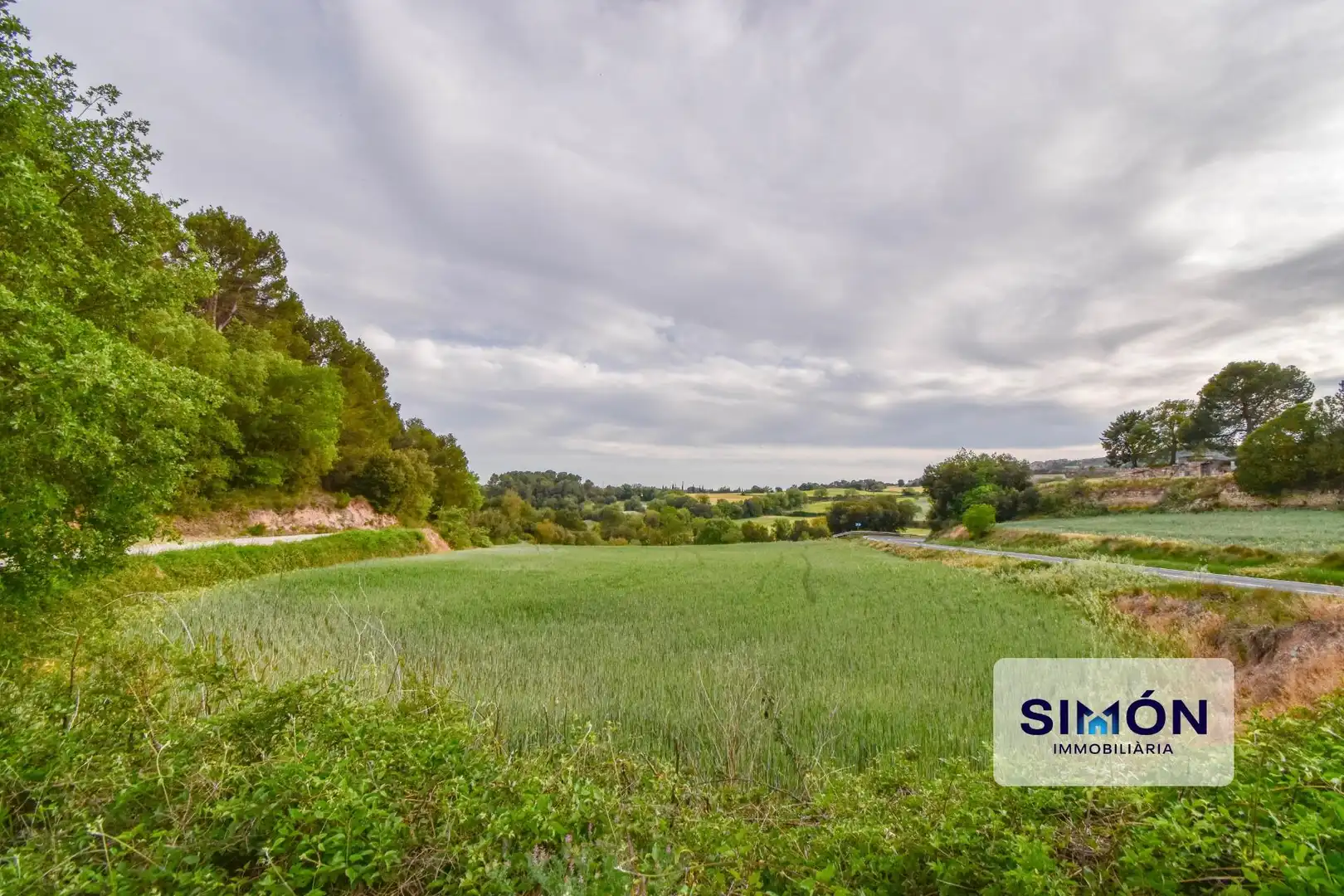 Finca rústica en venta en Veciana