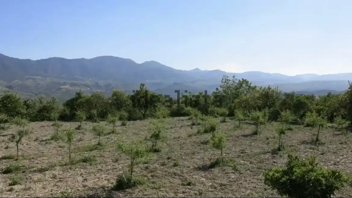 Finca rústica en venda en Lecrín