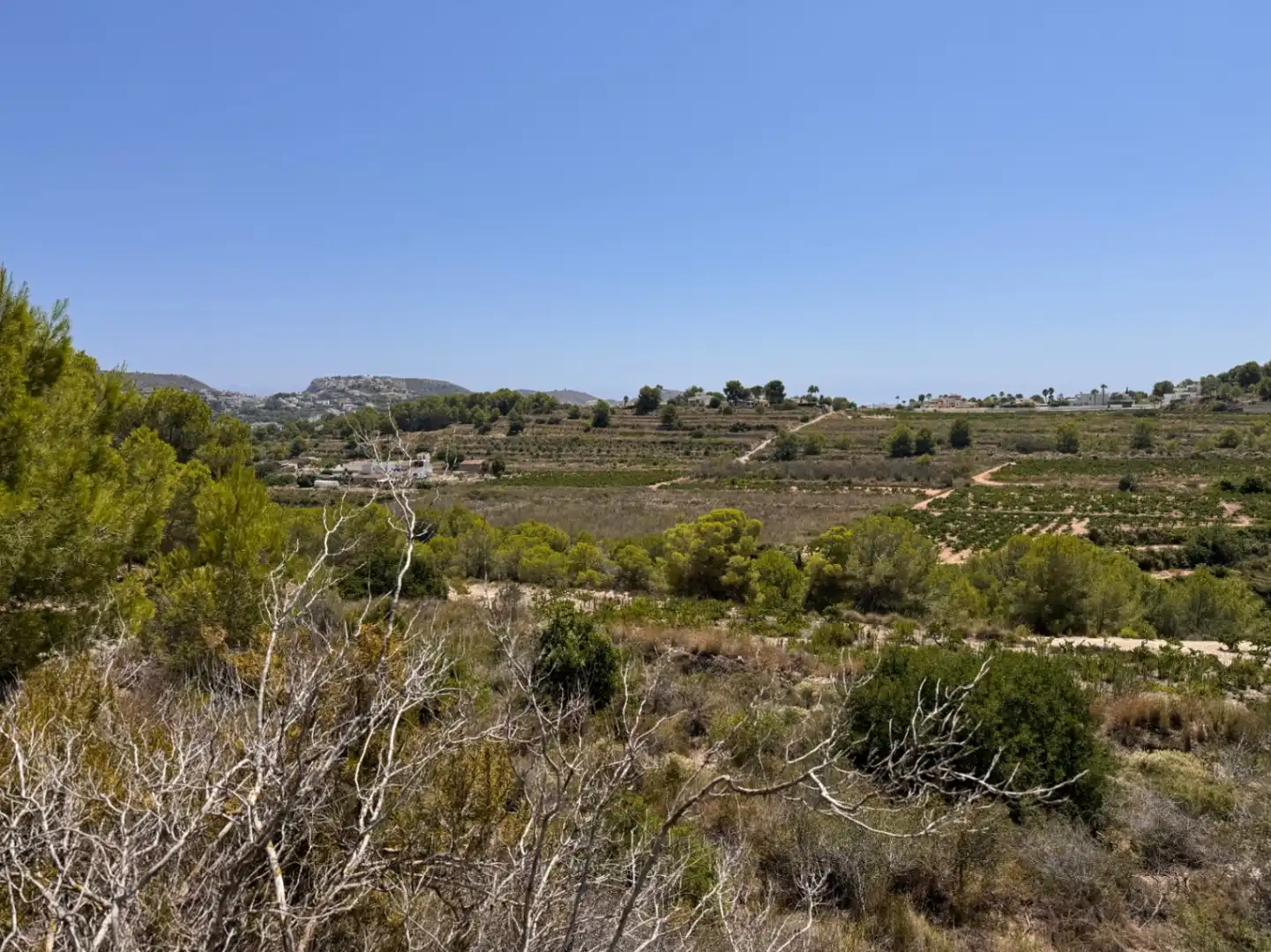 Terreny residencial en venda a Teulada