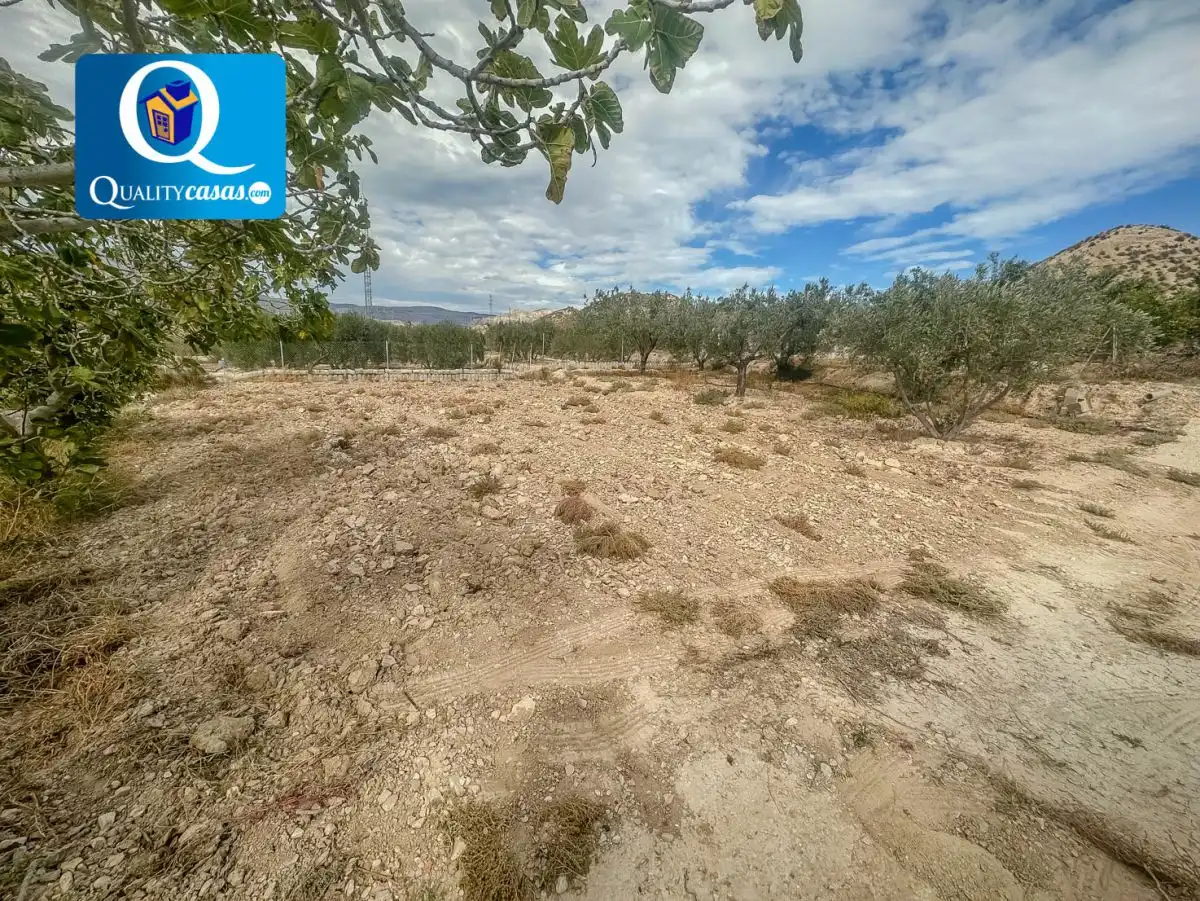 Lands and plots for sale in Partidas de Alicante, imagen 10