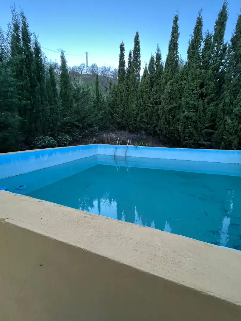 Piscina de Finca rústica en venda en Macharaviaya amb Terrassa, Traster i Piscina