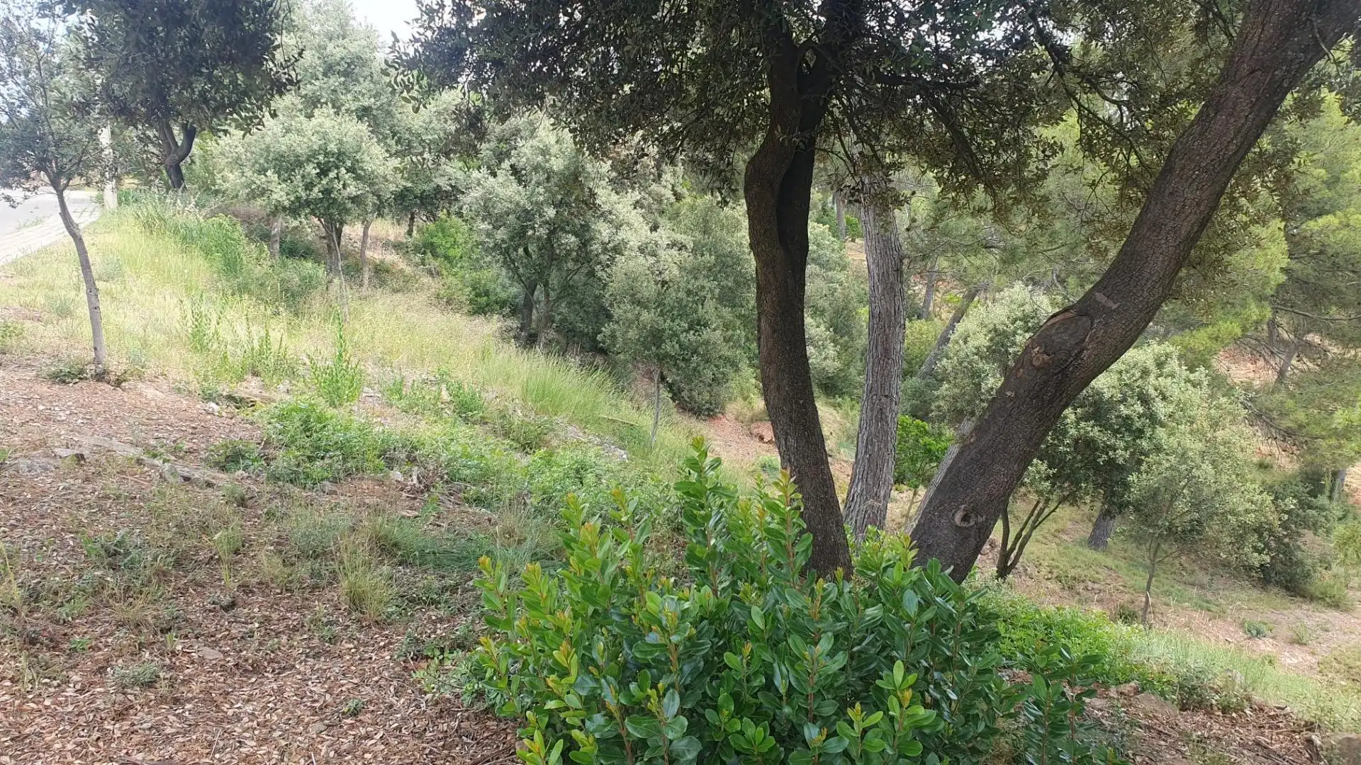 Residential for sale in Castellnou de Bages