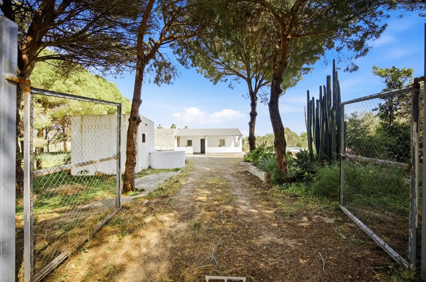 Vista exterior de Casa o chalet en venta en Chiclana de la Frontera con Trastero